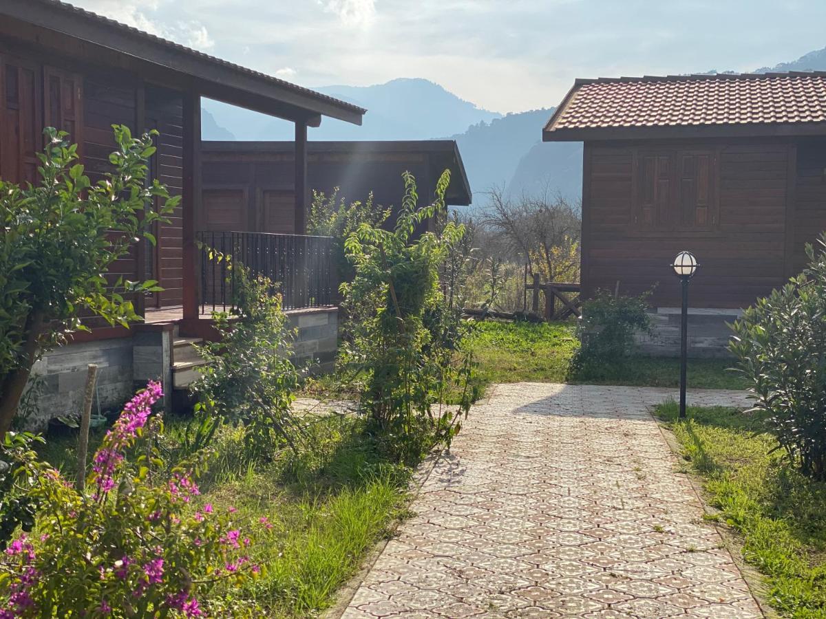 Hotel La Boutique Hemerans Çıralı Zewnętrze zdjęcie
